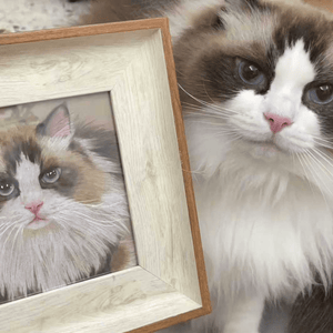 Custom Colored Pencil Portrait– Square - Metis Grace