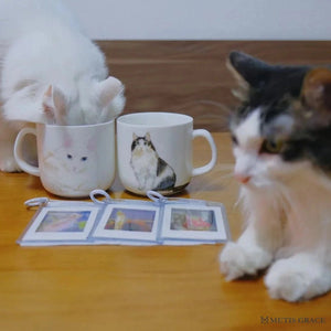 Hand - Painted Custom Pet Portrait Ceramic Mug - Metis Grace