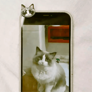 Handmade Clay Pet Portrait Ring - Metis Grace