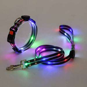 LED Collar and Leash Set (includes USB) (3pc set) - Metis Grace
