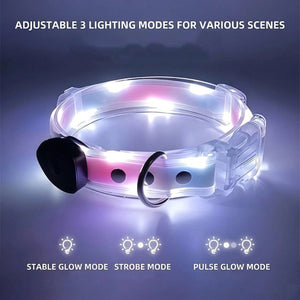 LED Collar and Leash Set (includes USB) (3pc set) - Metis Grace