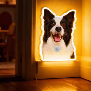Personalized Cat & Dog Motion Sensor Wall Lamp - Metis Grace