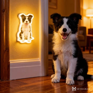 Personalized Cat & Dog Motion Sensor Wall Lamp - Metis Grace