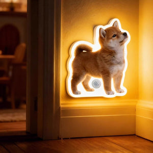 Personalized Cat & Dog Motion Sensor Wall Lamp - Metis Grace