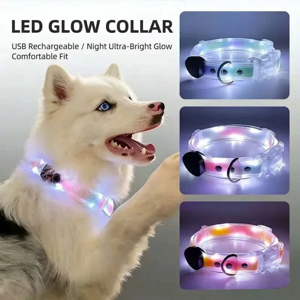 LED Collar and Leash Set (includes USB) (3pc set)