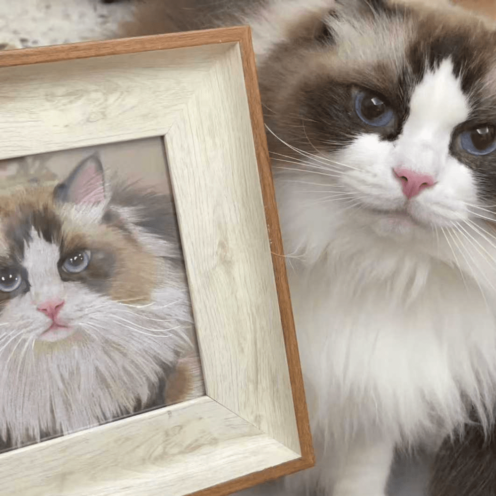 Custom Colored Pencil Portrait– Square - Metis Grace