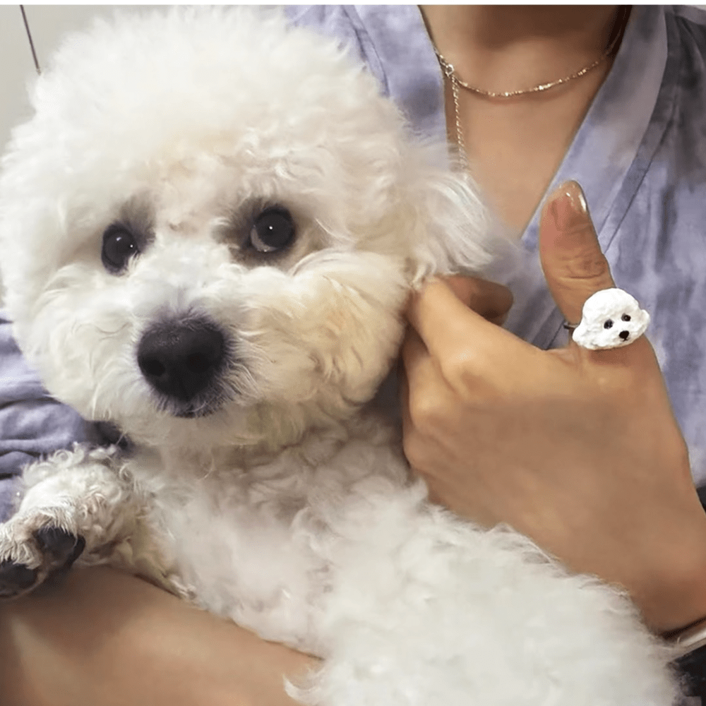 Handmade Clay Pet Portrait Ring - Metis Grace