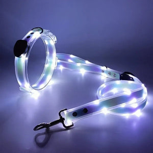 LED Collar and Leash Set (includes USB) (3pc set) - Metis Grace