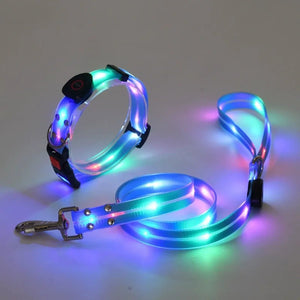 LED Collar and Leash Set (includes USB) (3pc set) - Metis Grace