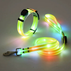 LED Collar and Leash Set (includes USB) (3pc set) - Metis Grace