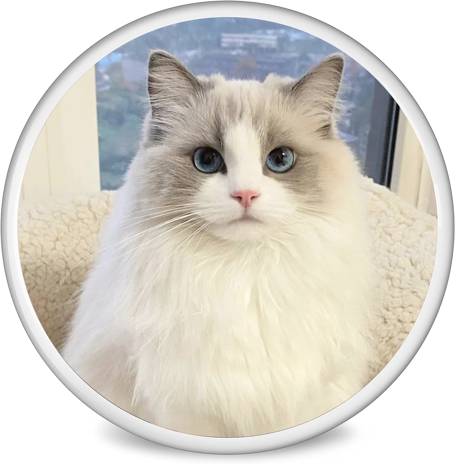 Personalized Commemorative Round Ceramic Photo - Metis Grace