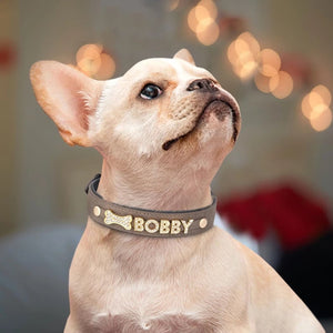 Personalized Leather Crystal Dog ID Collar - Metis Grace