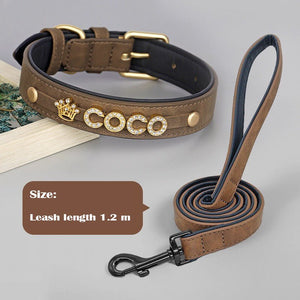 Personalized Leather Crystal Dog ID Collar - Metis Grace