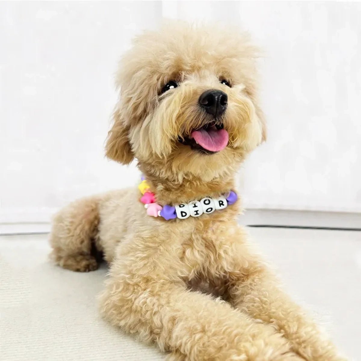 Personalized Silicone Beaded Pet Collar - Metis Grace